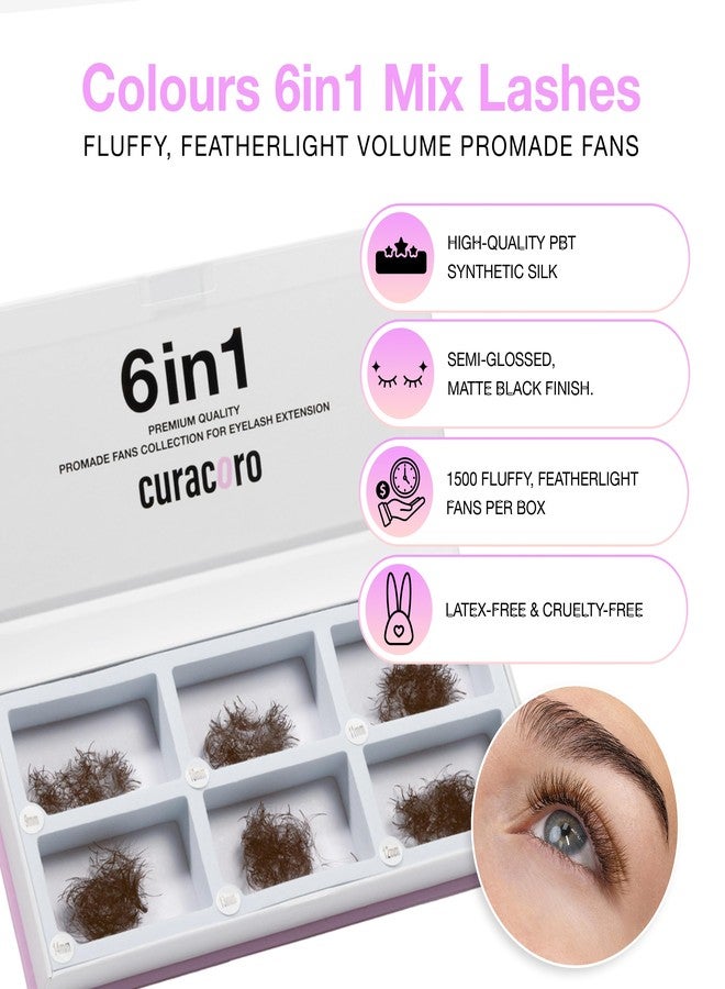 Curacoro Colored Promade Mix 1500 Fans | 5D Handmade Volume Eyelashes | CC Curl | 9-14mm Mixed Length | Long Lasting | Easy Application (Dark Brown, 5D CC 9-14mm) - Image 2